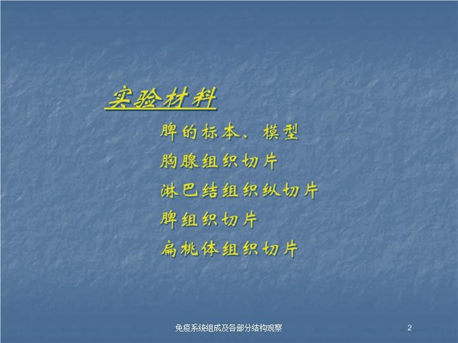 免疫系统组成及各部分结构观察培训课件.ppt_第2页