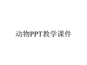 动物PPT教学课件.ppt