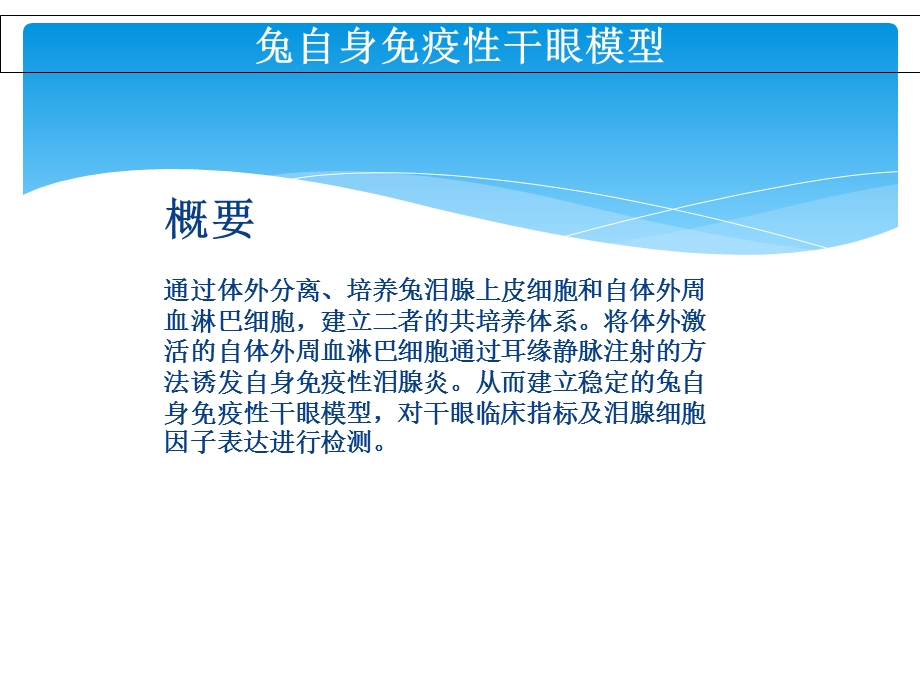 兔自身免疫性干眼模型制作及检测课件.ppt_第2页