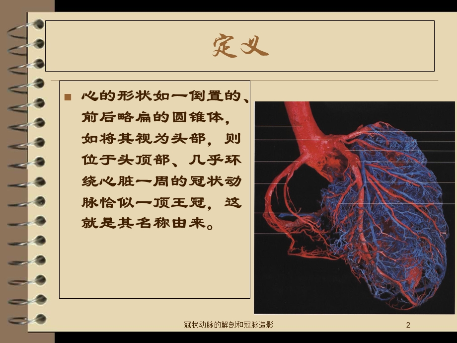 冠状动脉的解剖和冠脉造影培训课件.ppt_第2页