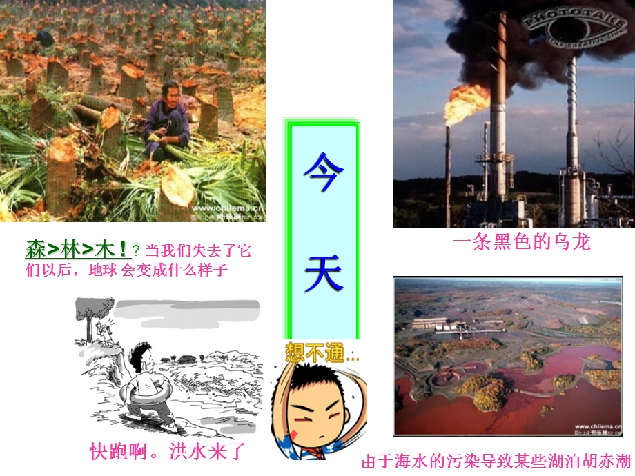 主题班会节能减排在行动ppt课件.ppt_第3页