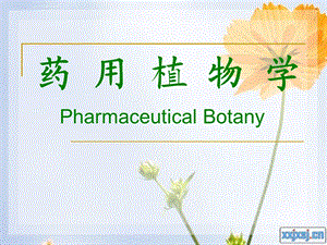 《药用植物学绪论》PPT课件.ppt