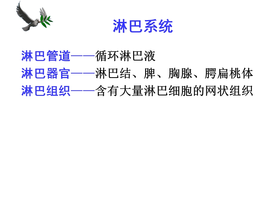 人体解剖学之淋巴内分泌系统ppt课件.ppt_第1页