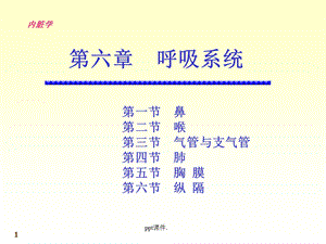 内脏学呼吸系统课件.ppt