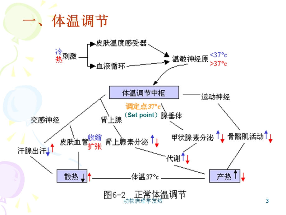 动物病理学发热课件.ppt_第3页