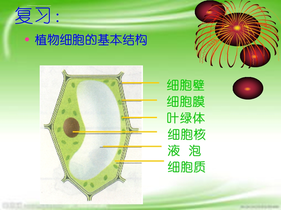 人教版七年级上册生物细胞的生活(2课时)ppt课件.ppt_第2页