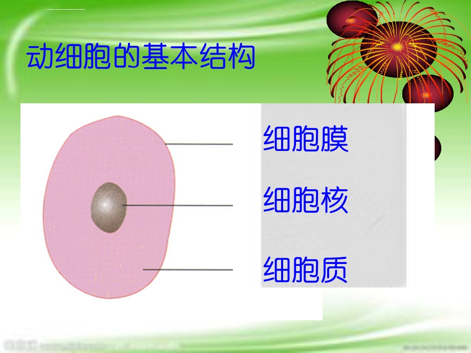 人教版七年级上册生物细胞的生活(2课时)ppt课件.ppt_第3页