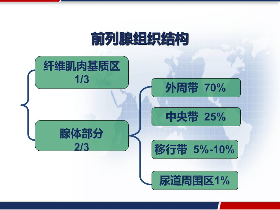 前列腺癌MRI分期及鉴别诊断课件.pptx_第3页