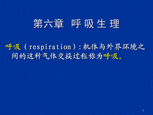 动物生理学呼吸生理完美课件.ppt