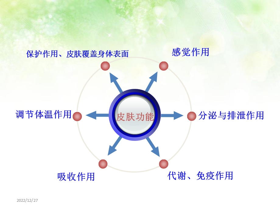 伤口护理13病区课件.ppt_第3页