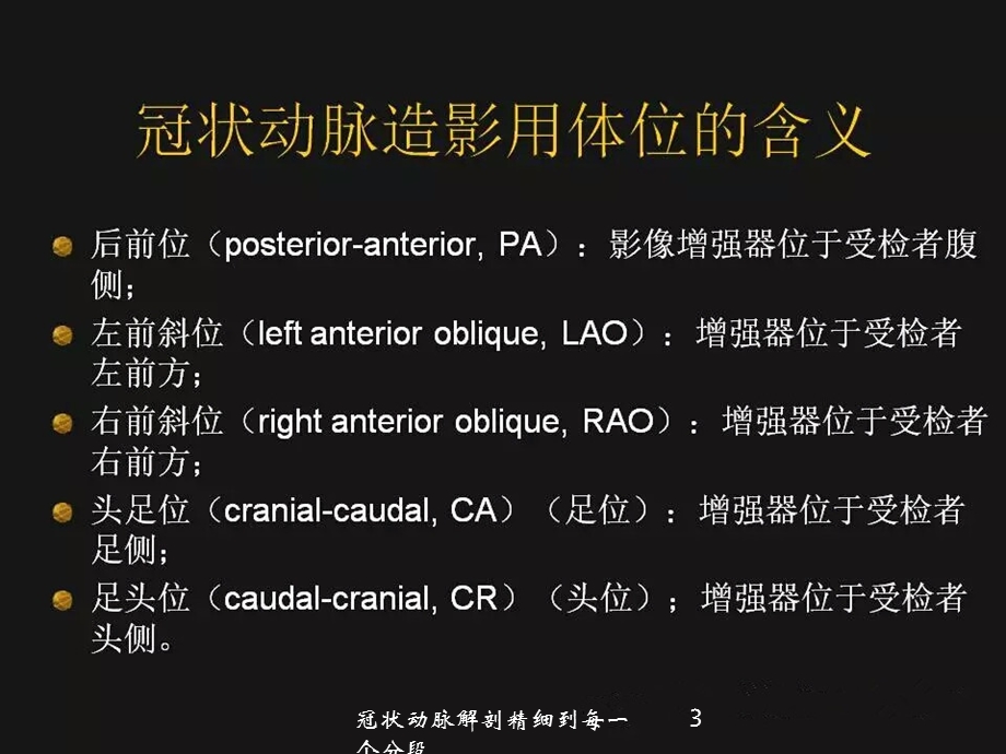 冠状动脉解剖精细到每一个分段培训课件.ppt_第3页