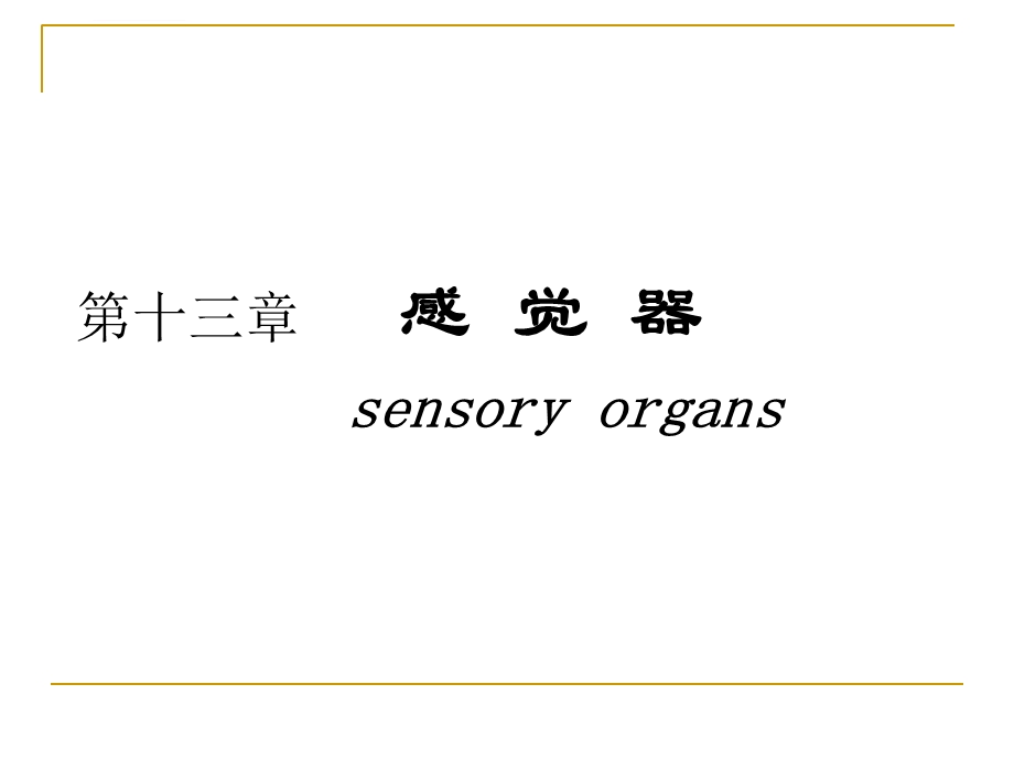 人体解剖学感觉器官ppt课件.ppt_第1页