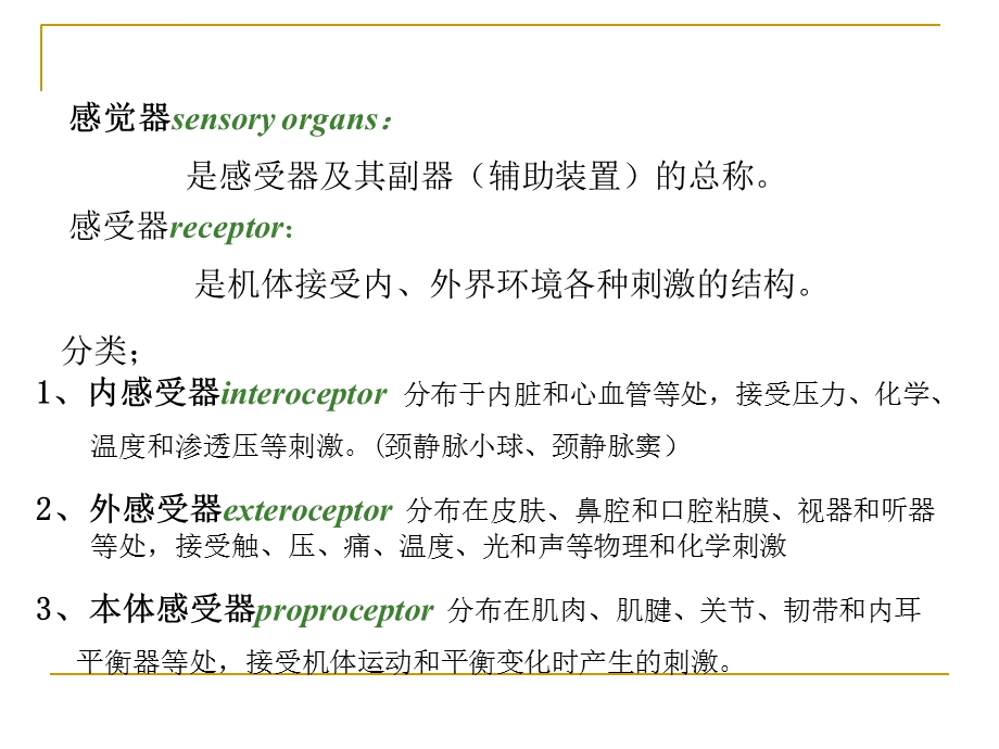 人体解剖学感觉器官ppt课件.ppt_第3页