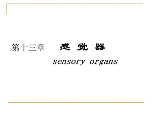 人体解剖学感觉器官ppt课件.ppt