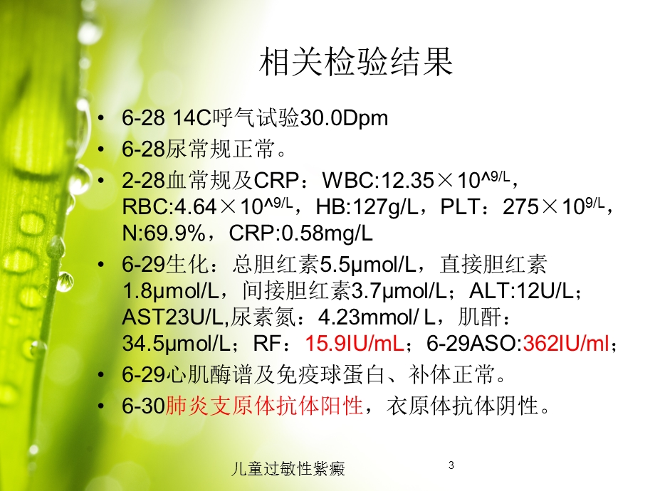 儿童过敏性紫癜培训课件.ppt_第3页