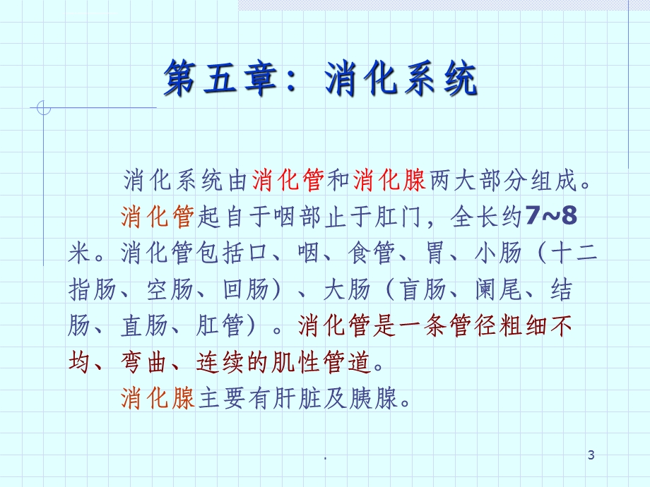 《影像解剖学》消化管ppt课件.ppt_第3页