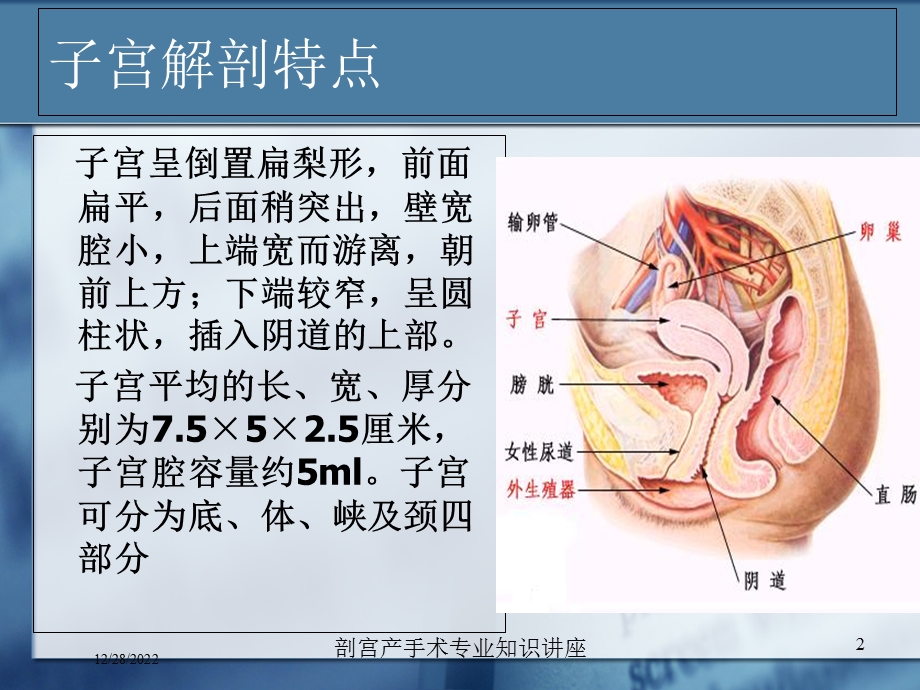 剖宫产手术专业知识讲座课件.ppt_第2页