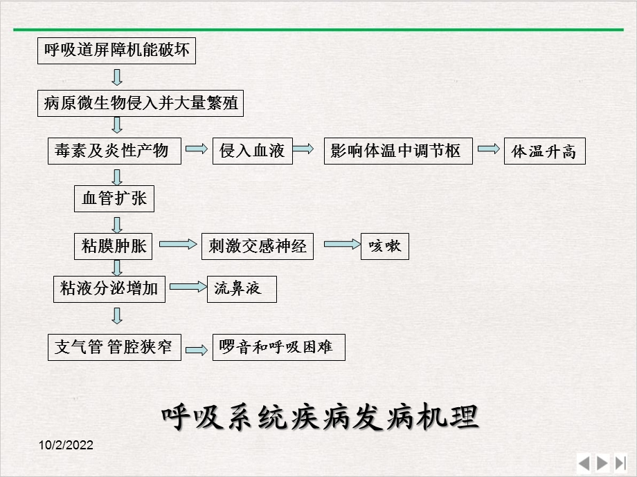 兽医内科学呼吸系统疾病新版课件.ppt_第3页