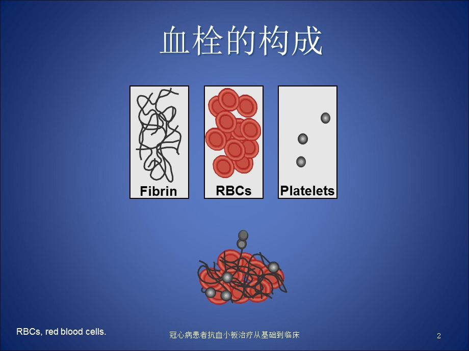 冠心病患者抗血小板治疗从基础到临床培训课件.ppt_第2页