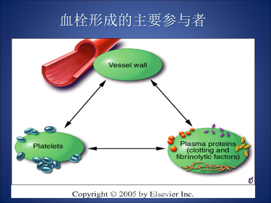 冠心病患者抗血小板治疗从基础到临床培训课件.ppt_第3页