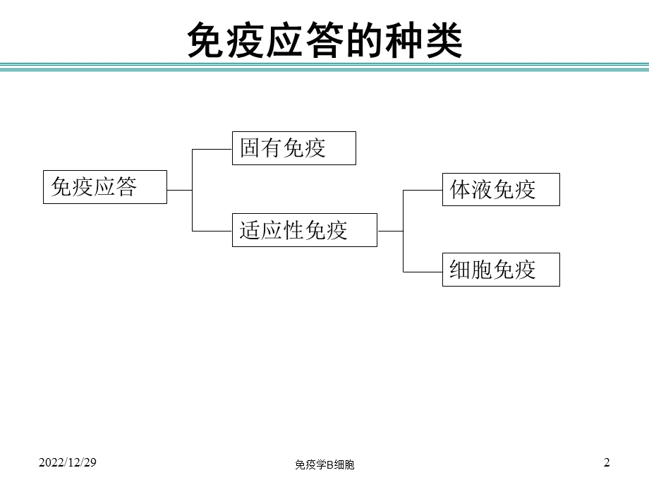 免疫学B细胞培训课件.ppt_第2页