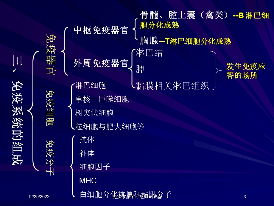 免疫学总结专题知识讲座培训课件.ppt_第3页