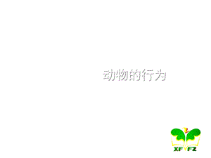 北京课改版秋学期八年级生物上册教学课件92动物的行为+(共24张).ppt