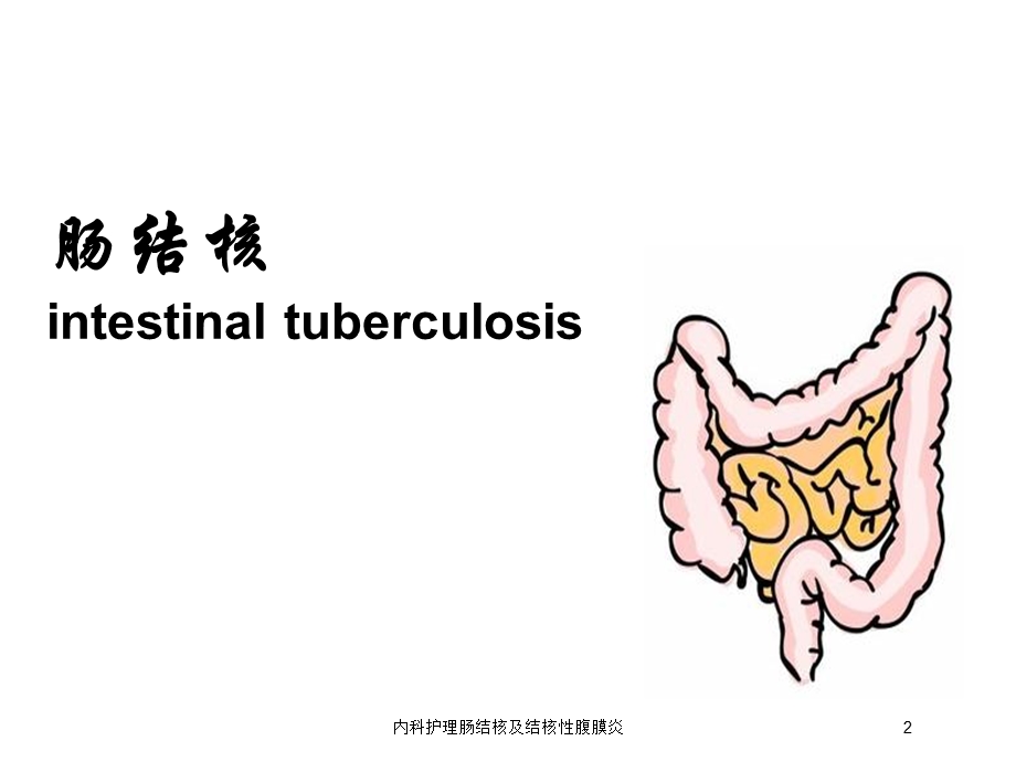 内科护理肠结核及结核性腹膜炎培训课件.ppt_第2页