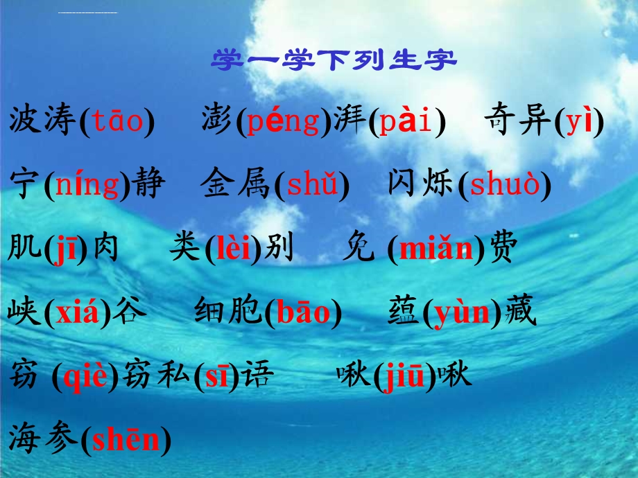 《海底世界》ppt课件.ppt_第3页