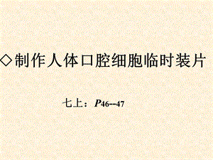 人体口腔上皮细胞临时装片制作ppt课件.ppt