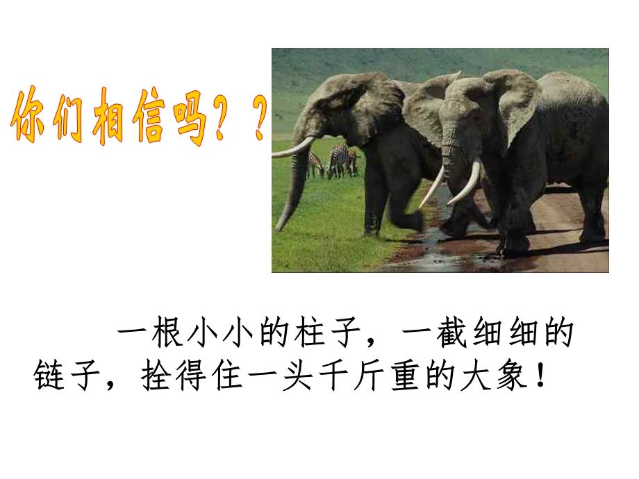 主题班会：习惯的养成ppt课件.ppt_第3页