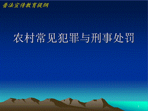 农村常见犯罪与刑事处罚课件.ppt