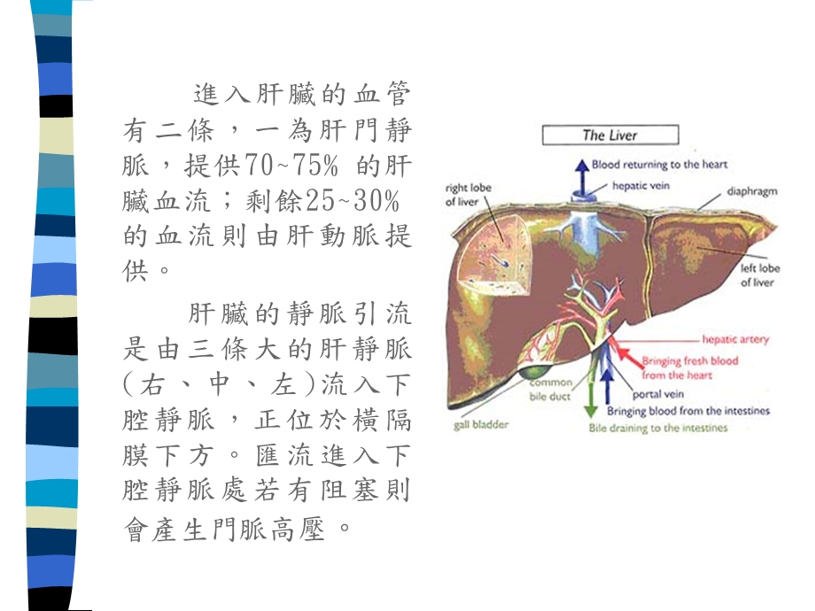 切肝手术麻醉课件.ppt_第3页