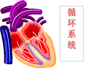 内科护理学循环症状课件.ppt