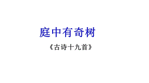 《庭中有奇树》ppt课件.ppt