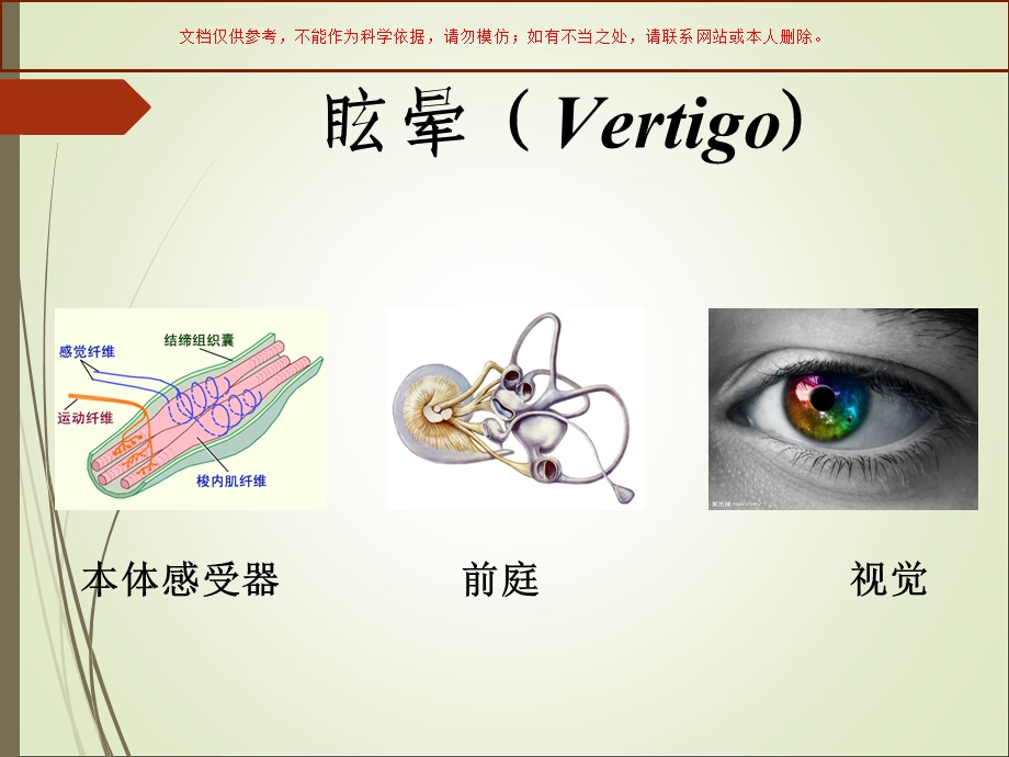 前庭系统眩晕课件.ppt_第2页