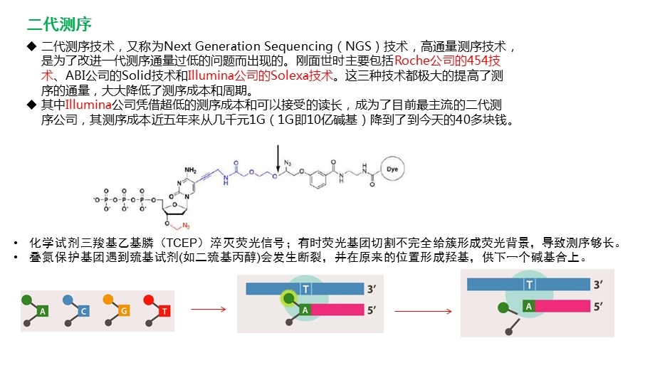 一代二代 三代测序原理ppt课件.pptx_第3页