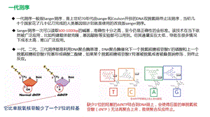 一代二代 三代测序原理ppt课件.pptx