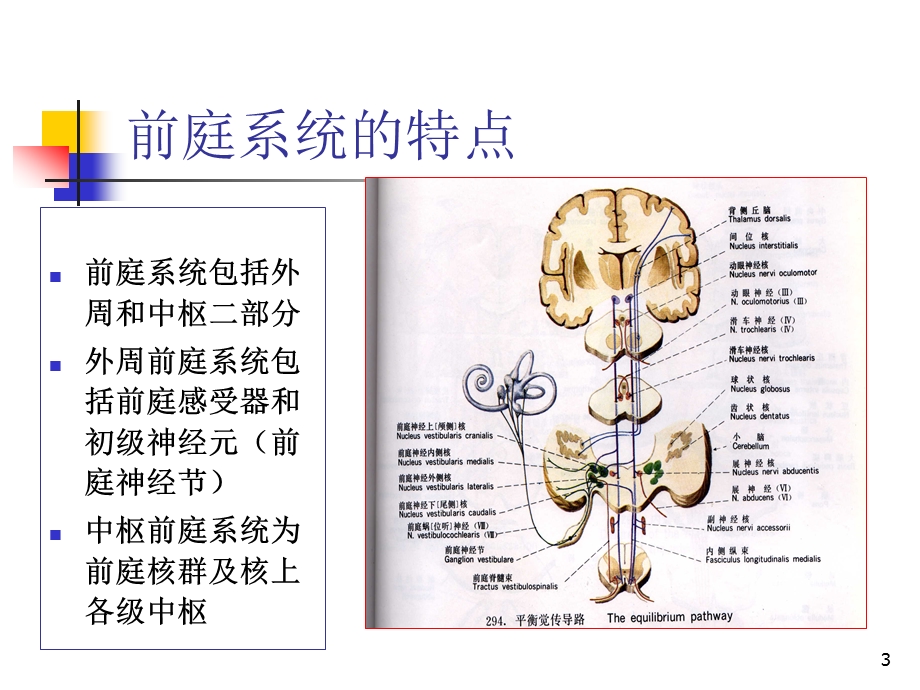 位置性眩晕的诊断与治疗讲课课件.pptx_第3页