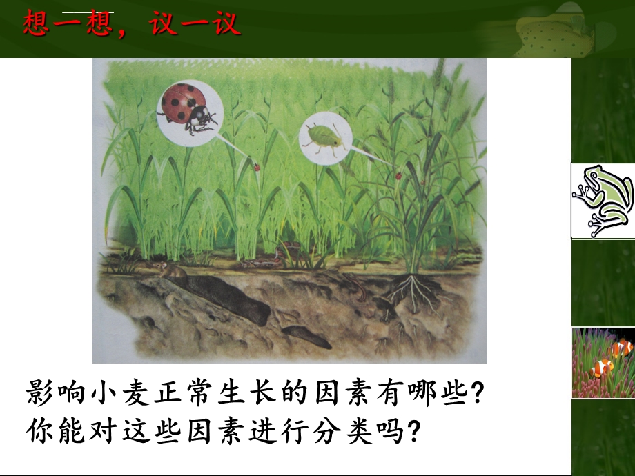 七年级上册生物与环境的关系ppt课件.ppt_第3页