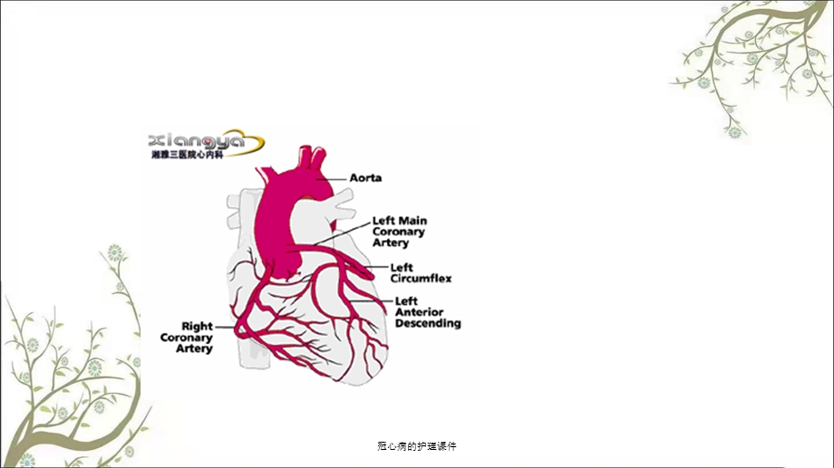 冠心病的护理课件.ppt_第2页