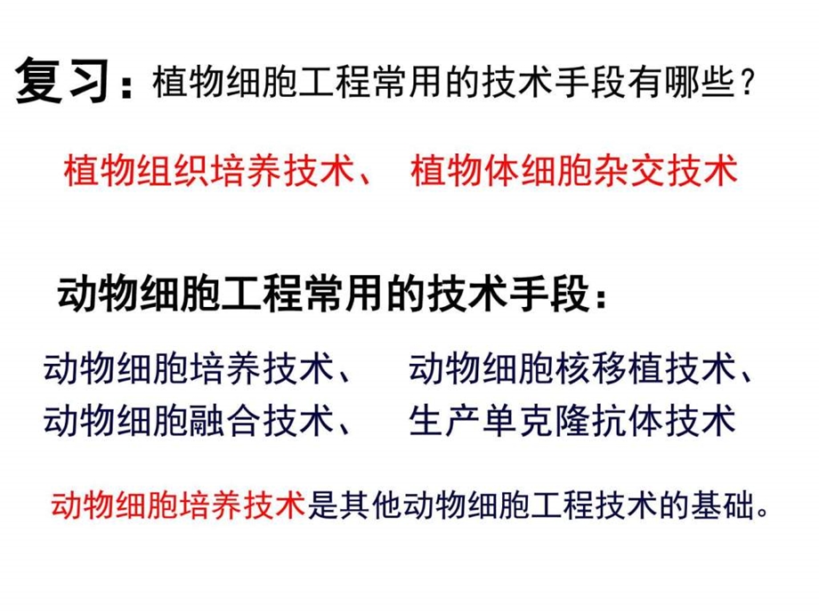 动物细胞培养和核移植技术上课用课件.pptx_第2页