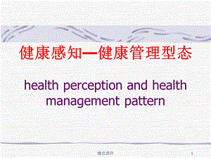 健康感知与健康管理型态课件.ppt