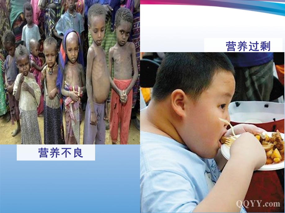 《食物中的营养》PPT课件.ppt_第3页