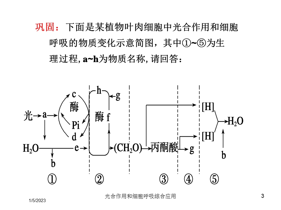 光合作用和细胞呼吸综合应用培训课件.ppt_第3页