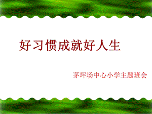 《小学生习惯养成主题班会》ppt课件.ppt