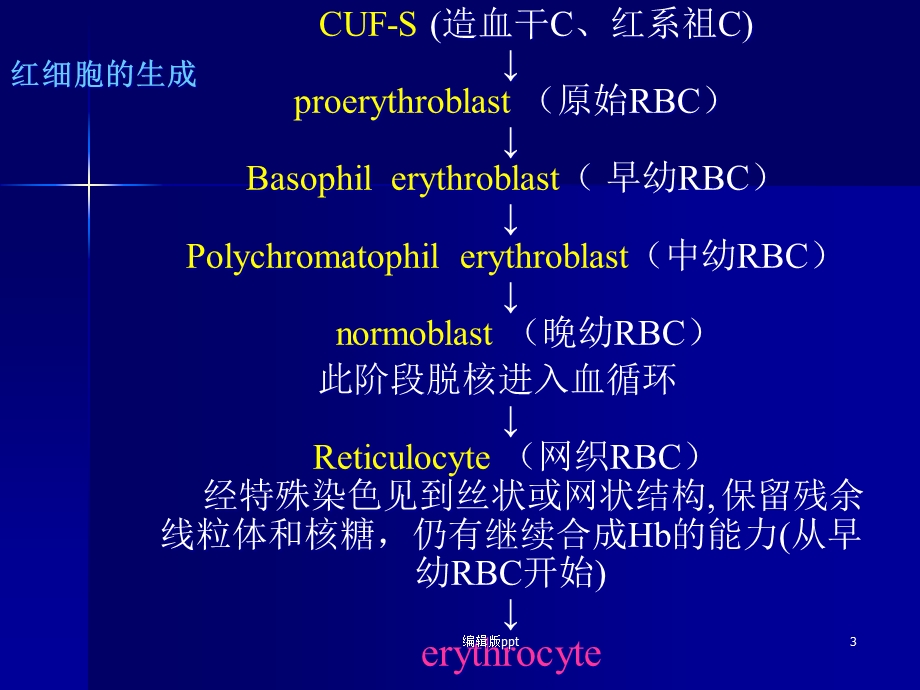 内科贫血概论课件.ppt_第3页