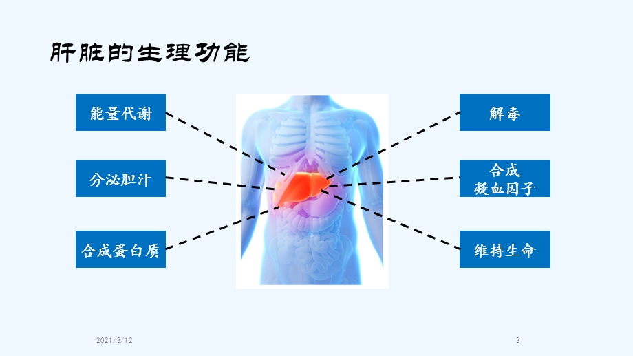 全国爱肝日科普教育课件.pptx_第3页