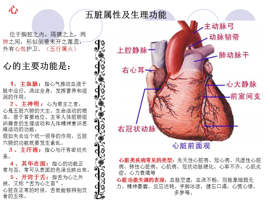 五脏六腑与五行养身ppt课件.ppt_第3页