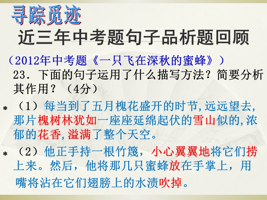 中考记叙文阅读复习专题——句子赏析ppt课件.ppt_第2页